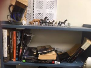 My horeses at The Arc, and partial horse library